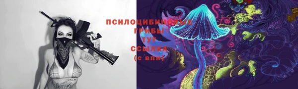 стаф Майский