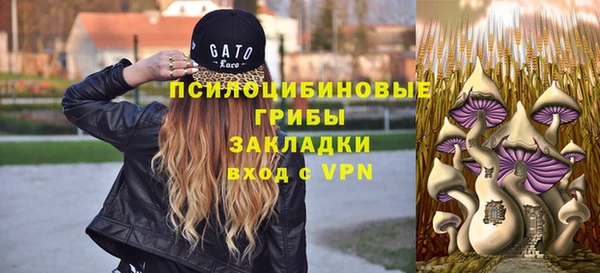 стаф Майский