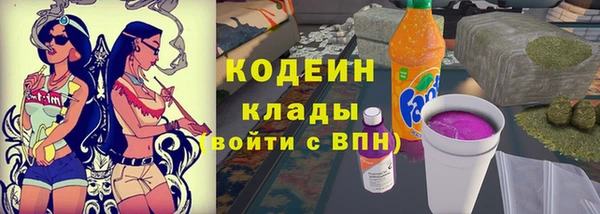 стаф Майский