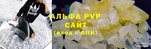 стаф Майский