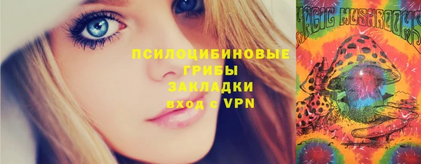 стаф Майский